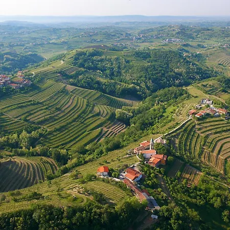 Ca' S Lorenz - A Luxury 100m2 In A Chic Vineyard Apartment Dobrovo