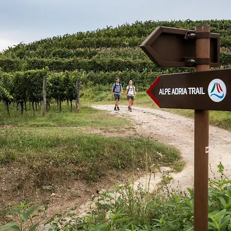 Ca' S Lorenz - A Luxury 100m2 In A Chic Vineyard Apartment *