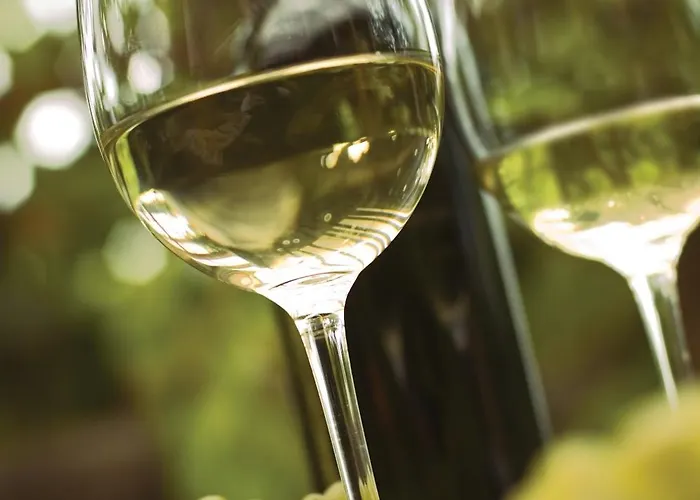 Ca' S Lorenz - A Luxury 100m2 In A Chic Vineyard 公寓 多布罗沃