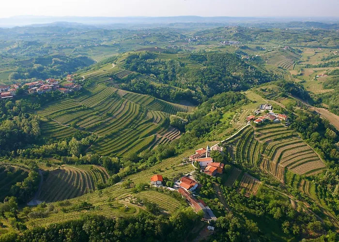 Ca' S Lorenz - A Luxury 100m2 In A Chic Vineyard 公寓 多布罗沃